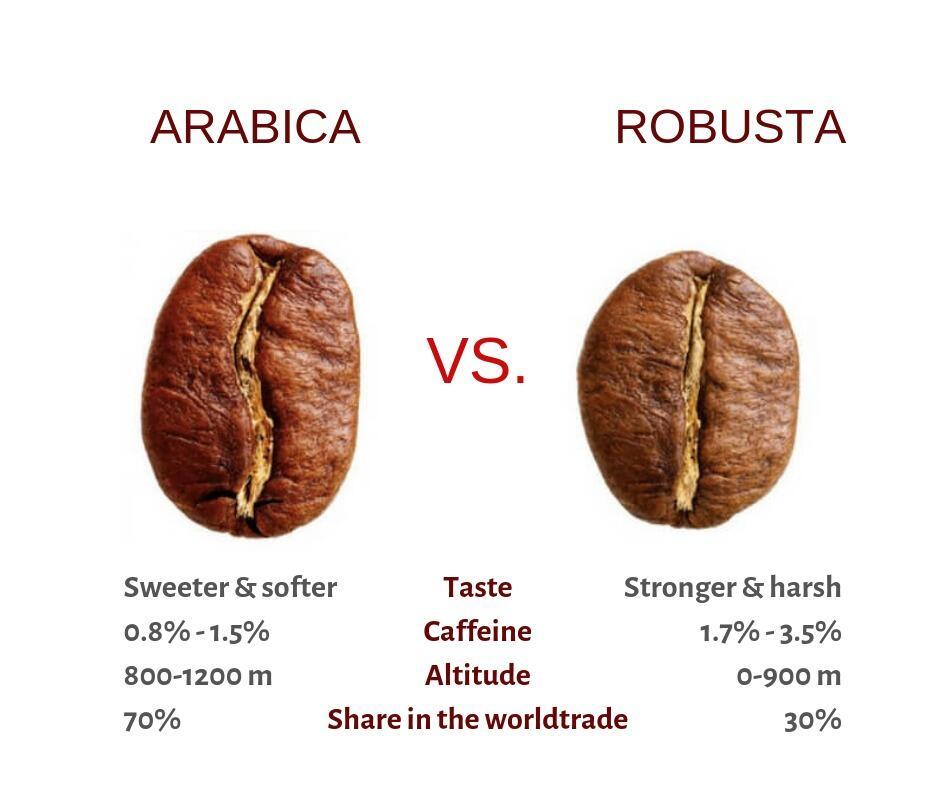 arabica-and-robusta-coffee