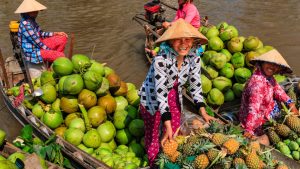 steps-to-import-tropical-fruits-from-vietnam